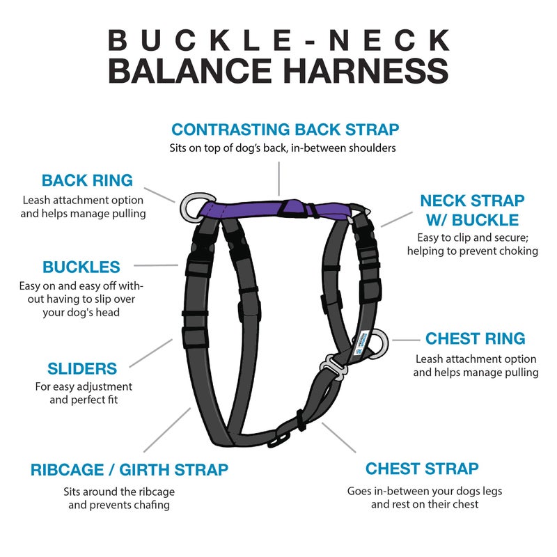Blue-9 Buckle-Neck Balance Harness, Fully Customizable Fit No-Pull Harness, Ideal for Dog Training and Obedience, Made in The USA, Purple, Medium - Image 2